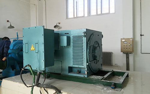 Y4001-4某水电站工程主水泵使用我公司高压电机