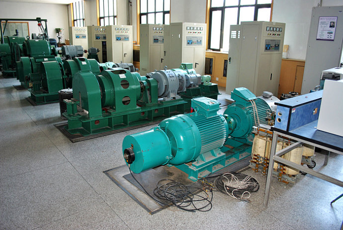 Y4001-4某热电厂使用我厂的YKK高压电机提供动力