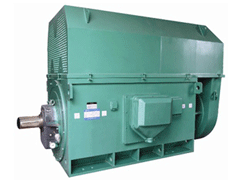 Y4001-4Y系列6KV高压电机