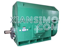 Y4001-4YXKK(2极)高效高压电机技术参数