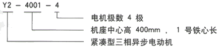 YR系列(H355-1000)高压Y4001-4三相异步电机西安西玛电机型号说明